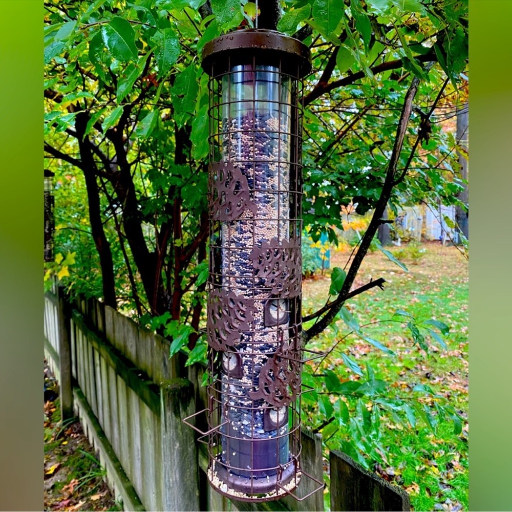 Perky Pet Bird Feeder - Picture 7 of 7
